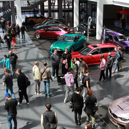 Fast Females auf der TUNING WORLD BODENSEE 2026